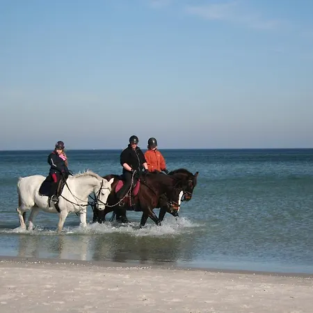 Strandblick 6 Apartman Zingst