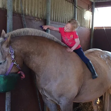 Strandblick 6 Apartman *