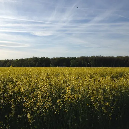 Apartament Strandblick 6